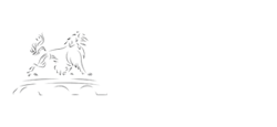 Ole Bridge Pub Logo